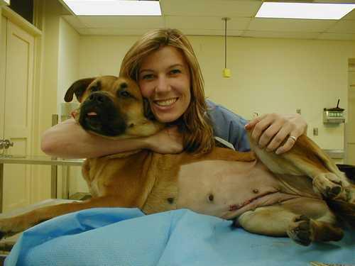 Woman Huging a Dog