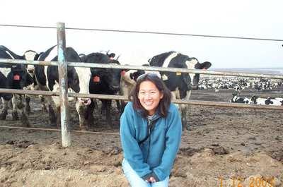 Andrea and Cows