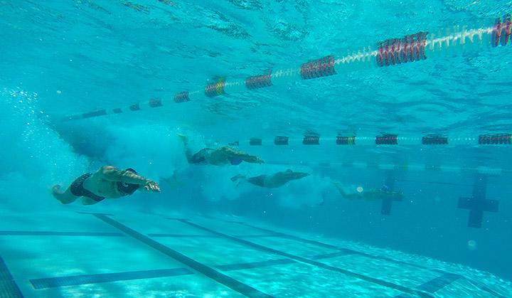 People Swiming in Waterpool