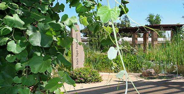 Photo of the Botanical Campus Garden